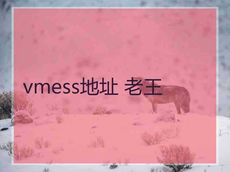 vmess地址 老王