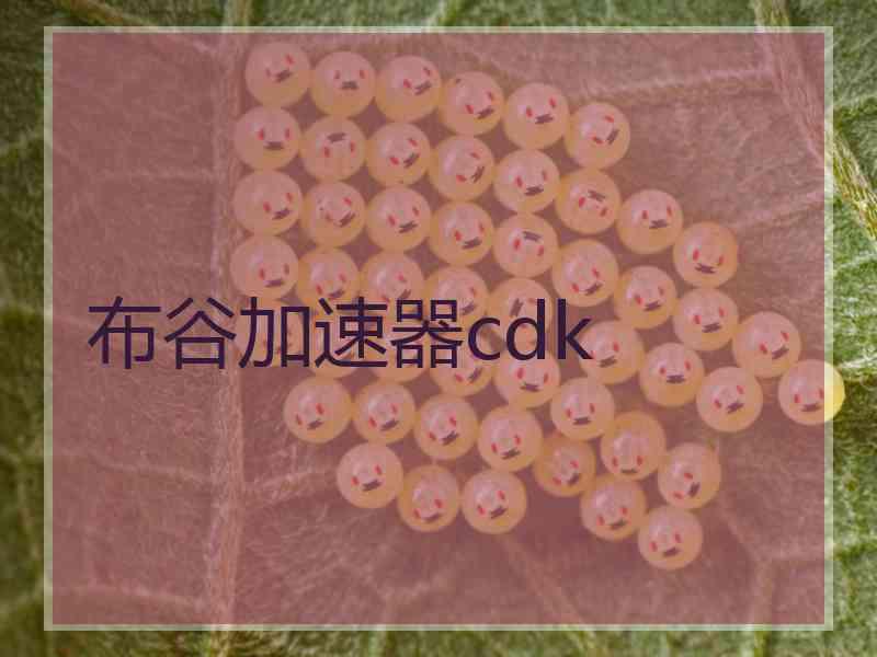 布谷加速器cdk