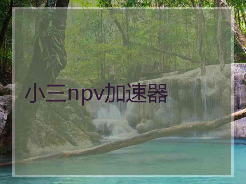 小三npv加速器