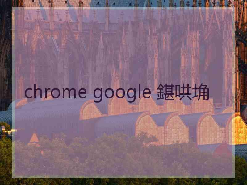 chrome google 鍖哄埆