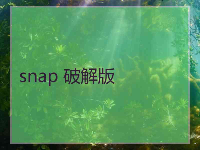 snap 破解版