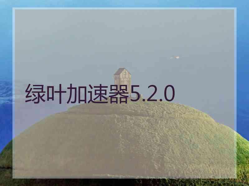 绿叶加速器5.2.0