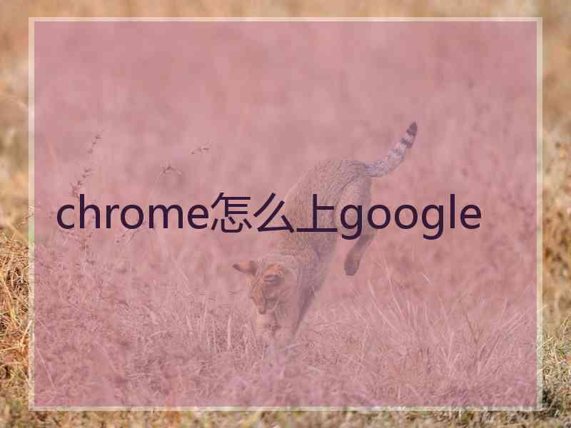 chrome怎么上google