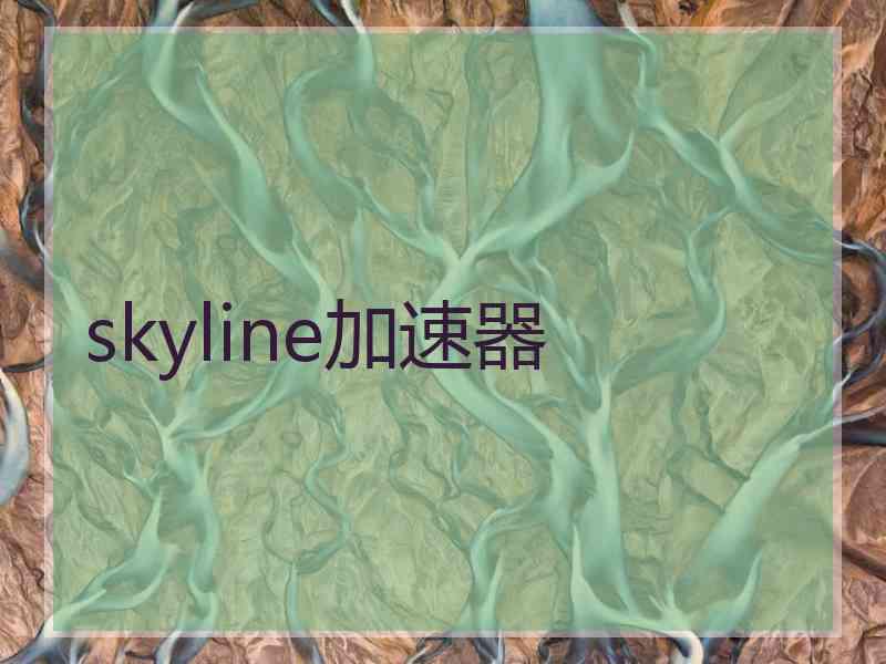 skyline加速器