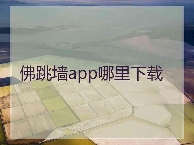 佛跳墙app哪里下载