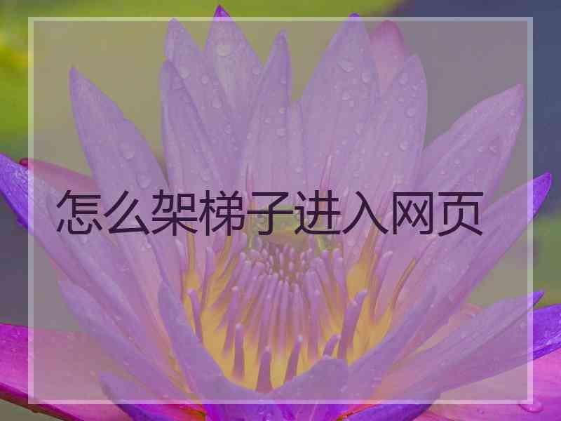 怎么架梯子进入网页