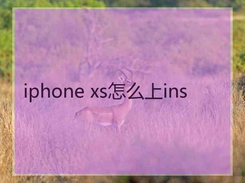 iphone xs怎么上ins