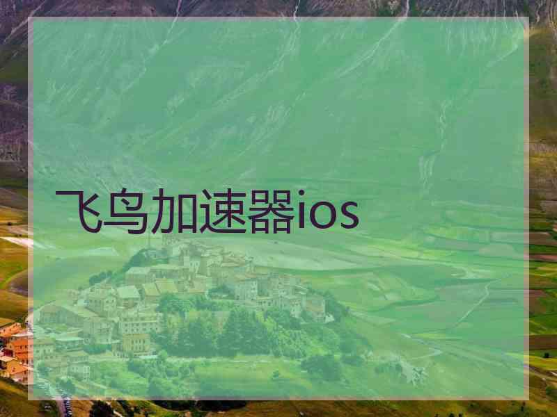 飞鸟加速器ios