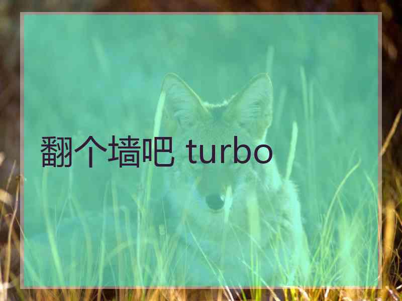 翻个墙吧 turbo