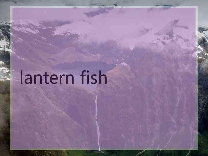 lantern fish