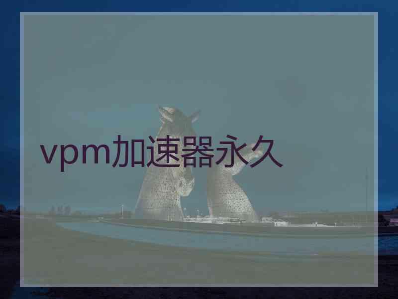 vpm加速器永久