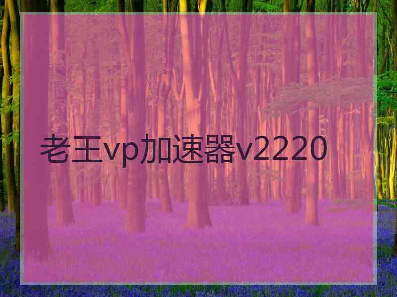 老王vp加速器v2220