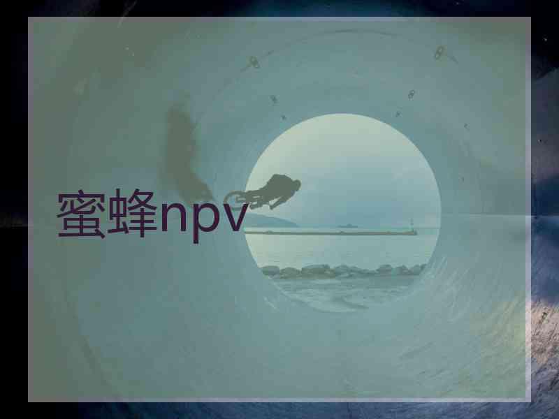 蜜蜂npv