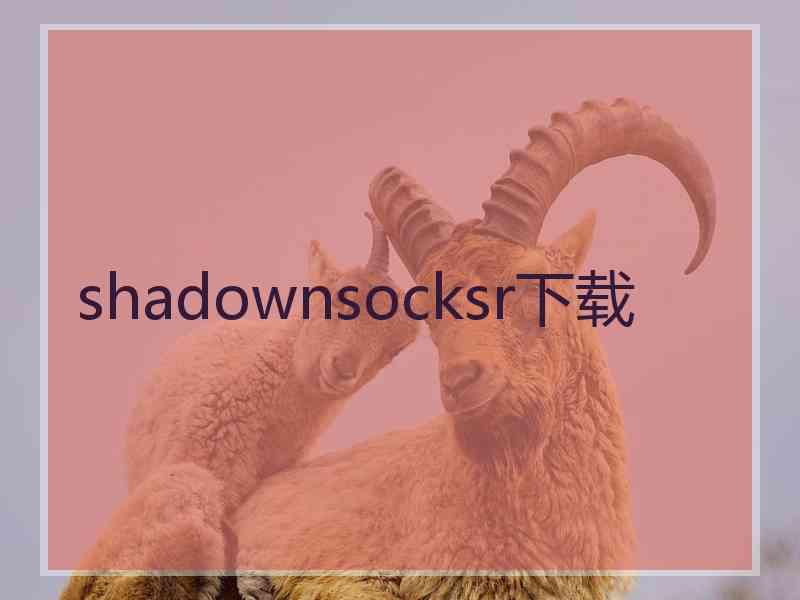 shadownsocksr下载