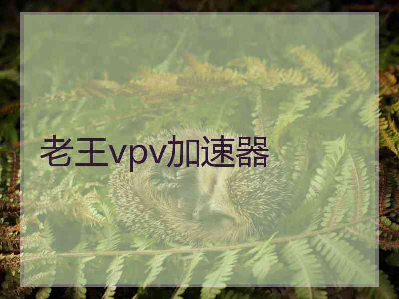 老王vpv加速器