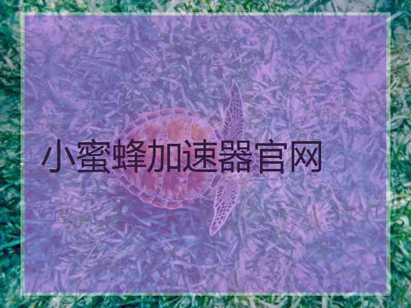 小蜜蜂加速器官网