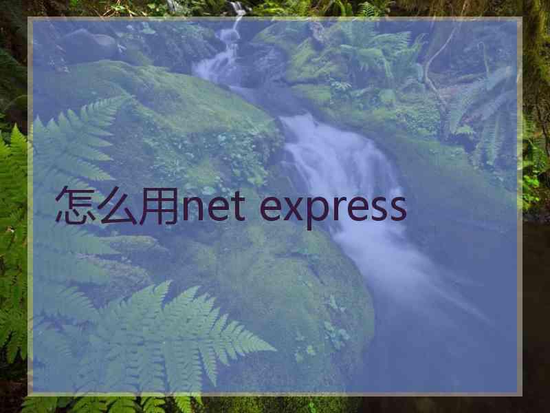 怎么用net express