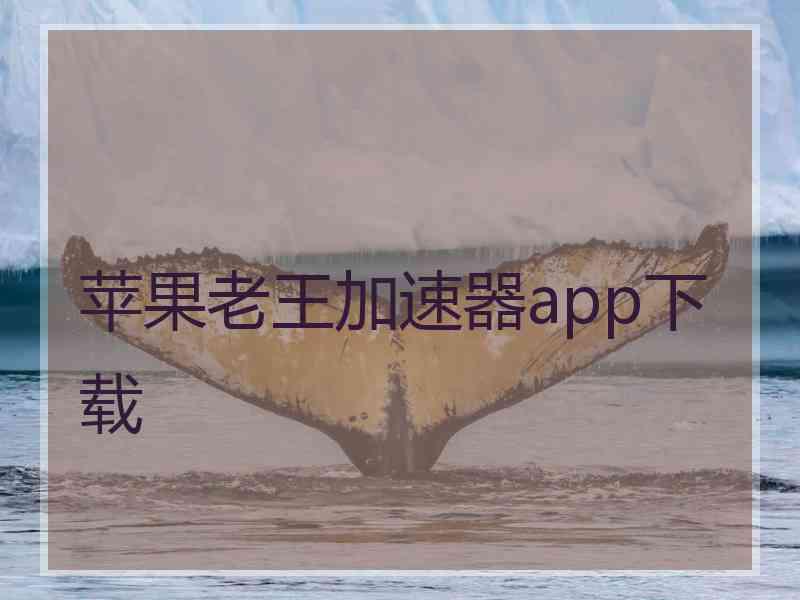 苹果老王加速器app下载