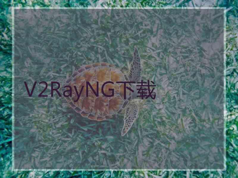 V2RayNG下载