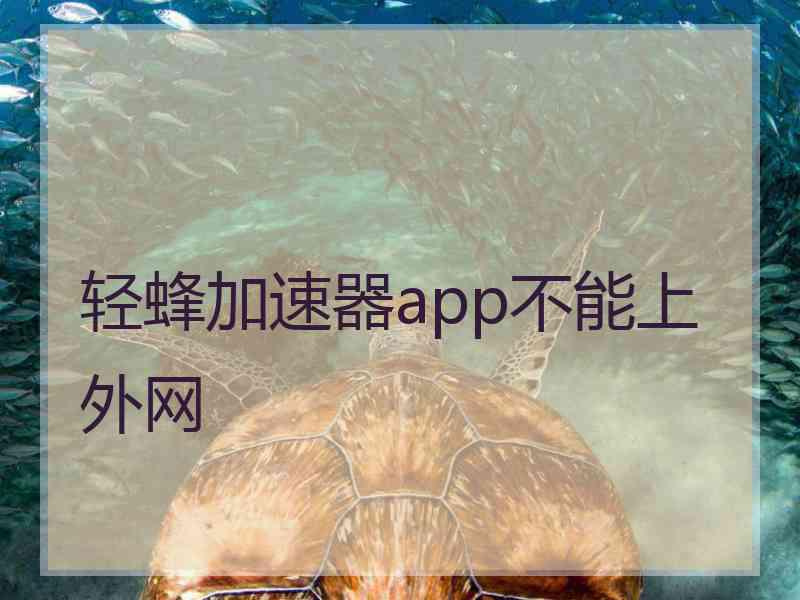 轻蜂加速器app不能上外网