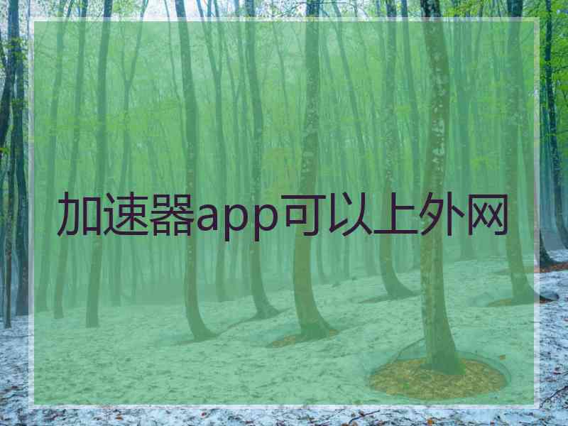 加速器app可以上外网