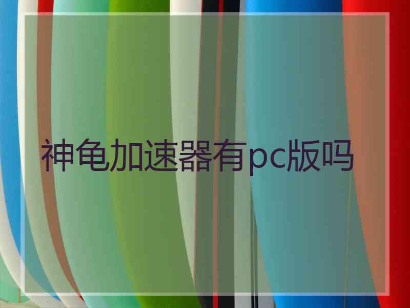 神龟加速器有pc版吗