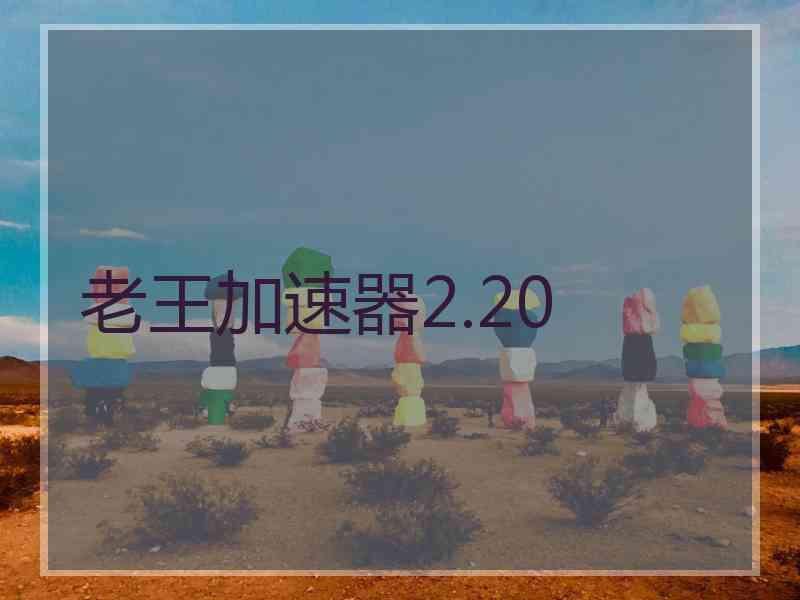 老王加速器2.20