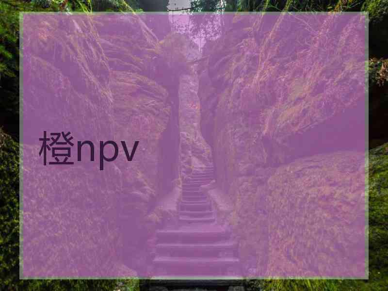 橙npv