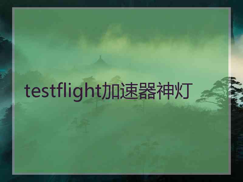 testflight加速器神灯