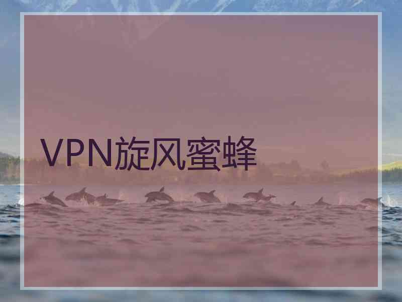 VPN旋风蜜蜂