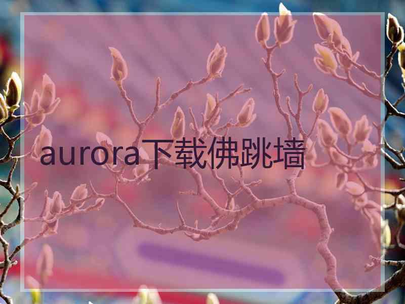 aurora下载佛跳墙