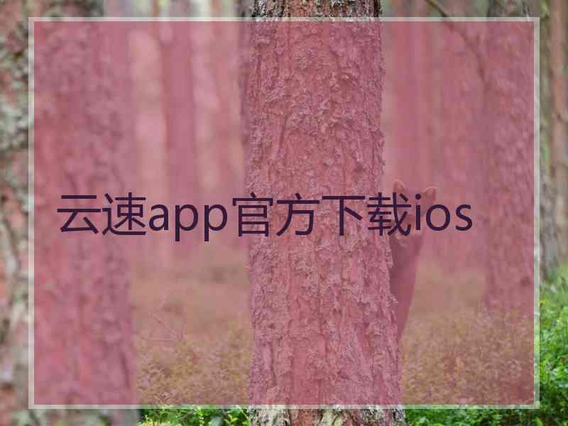 云速app官方下载ios