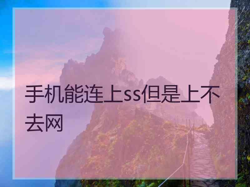 手机能连上ss但是上不去网