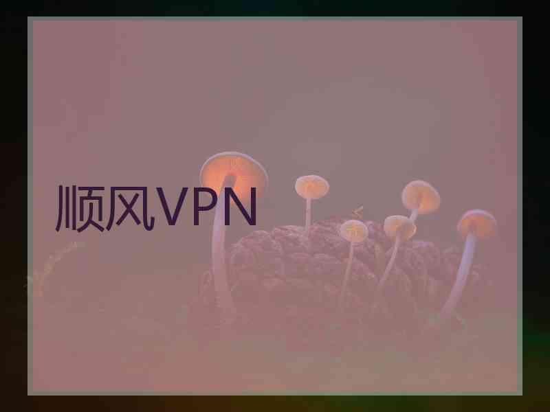 顺风VPN