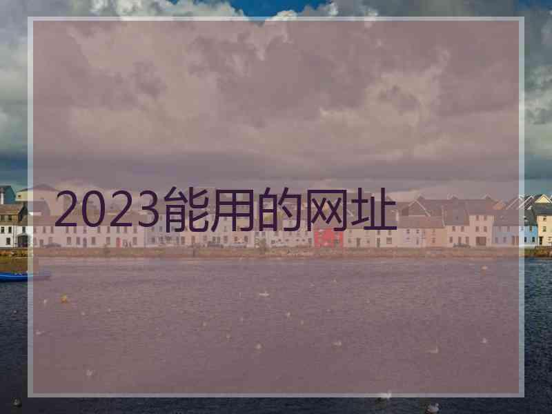 2023能用的网址