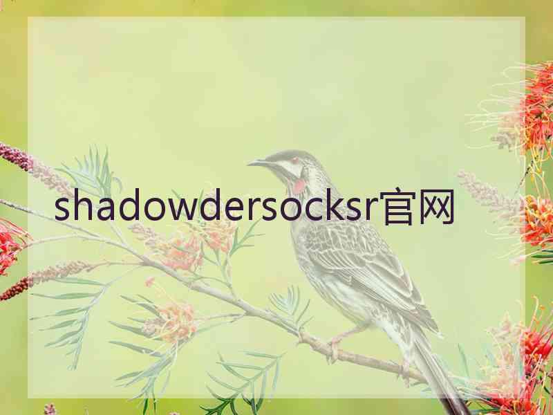 shadowdersocksr官网