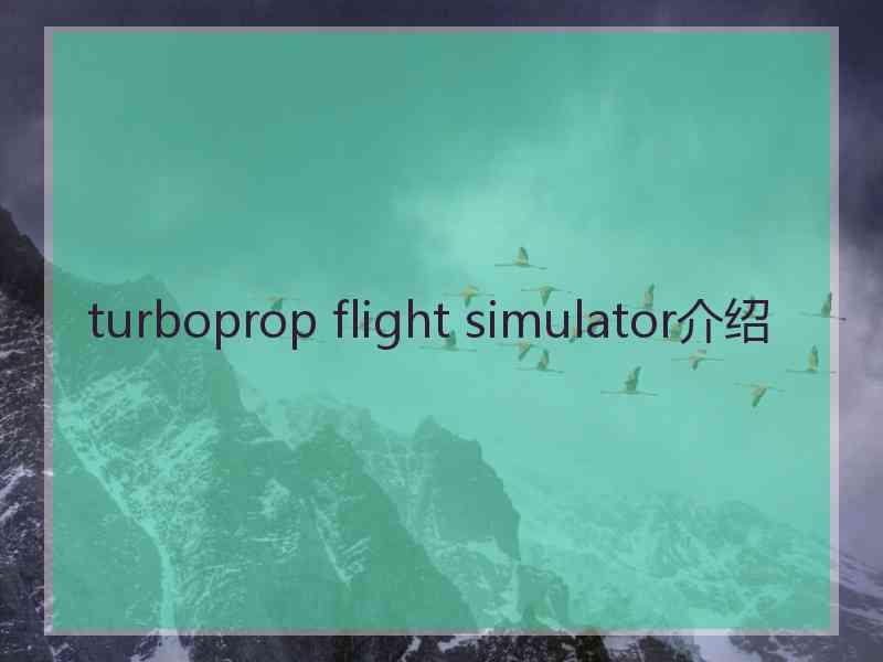 turboprop flight simulator介绍