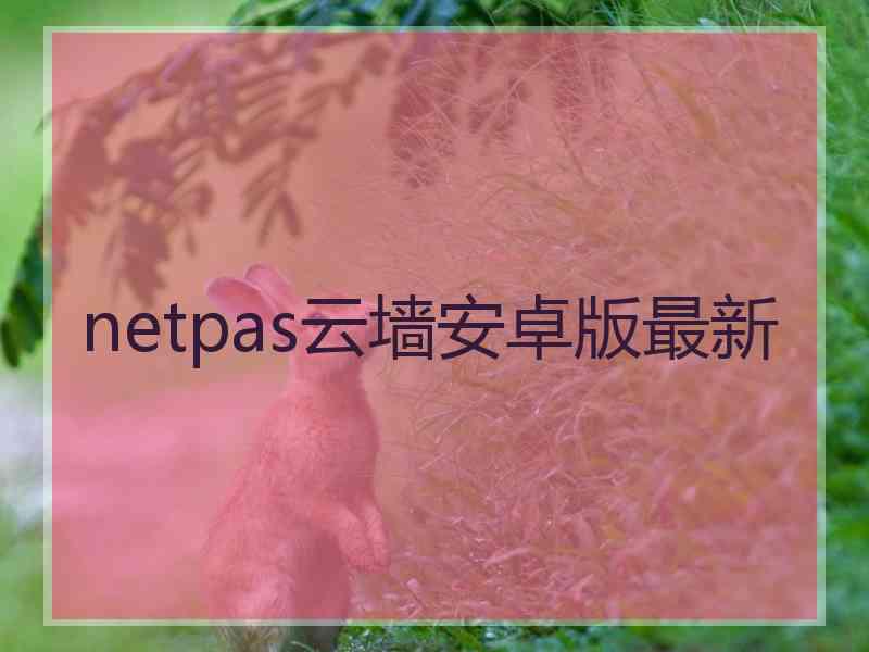 netpas云墙安卓版最新