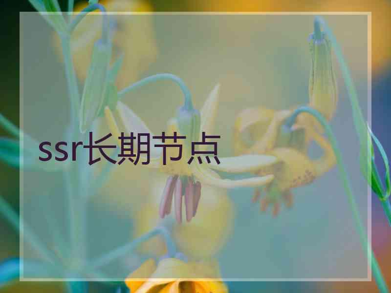 ssr长期节点