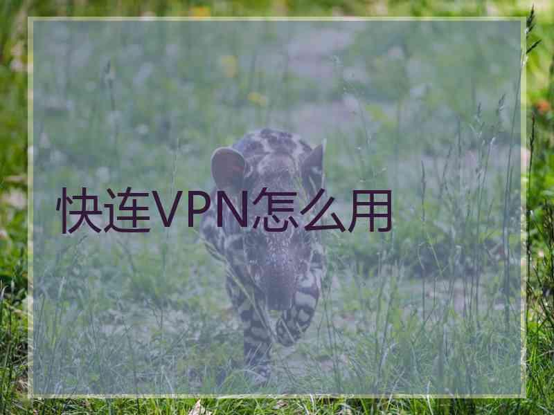 快连VPN怎么用