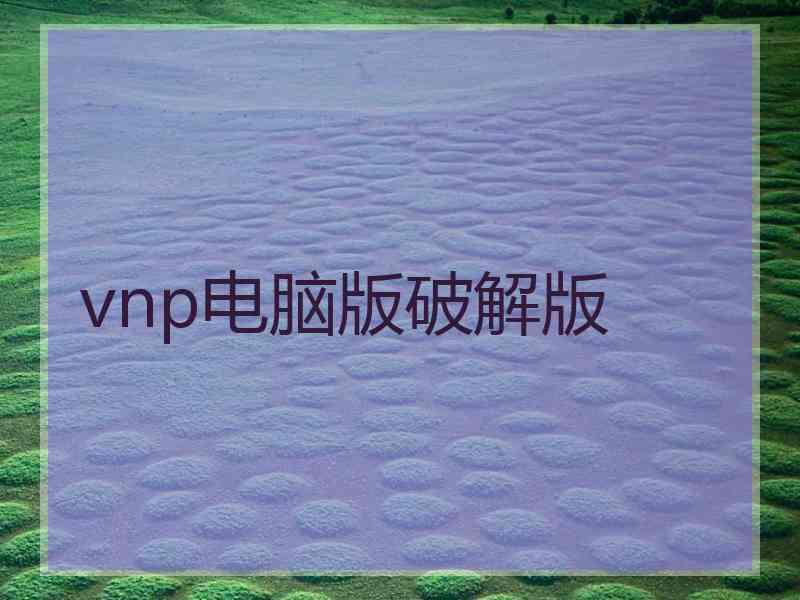 vnp电脑版破解版