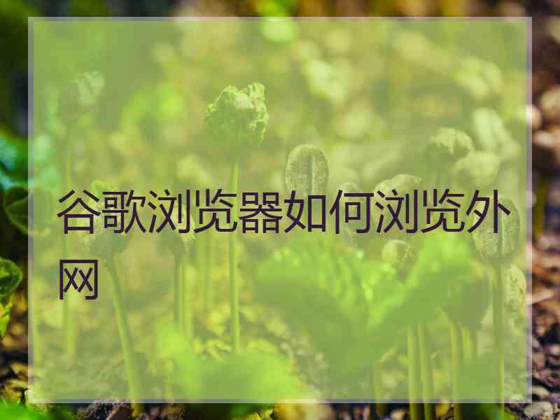 谷歌浏览器如何浏览外网