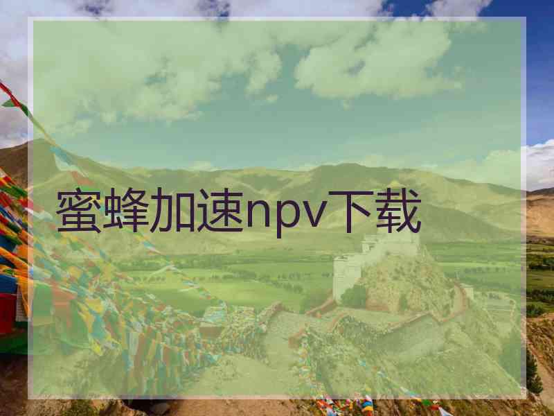 蜜蜂加速npv下载