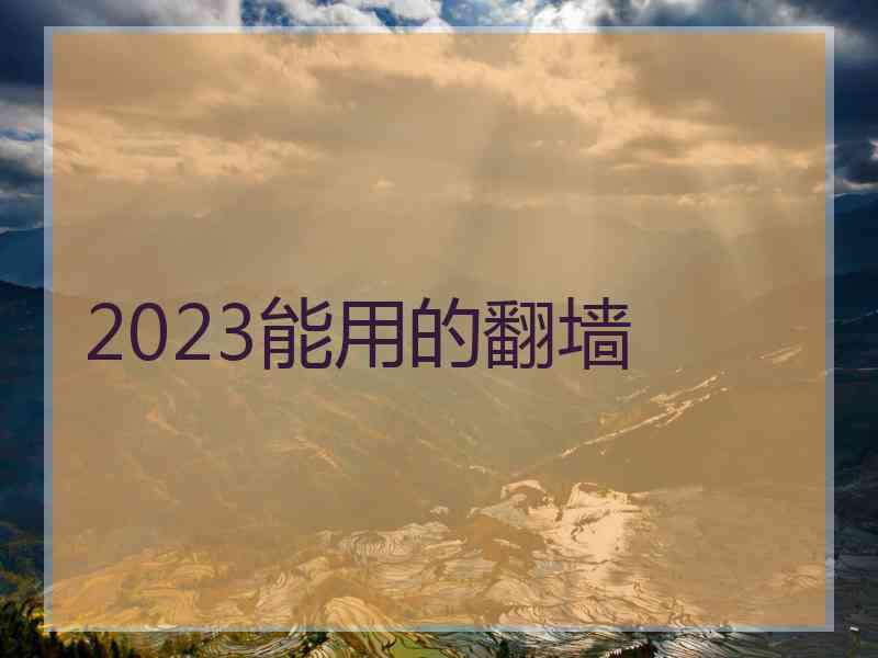 2023能用的翻墙