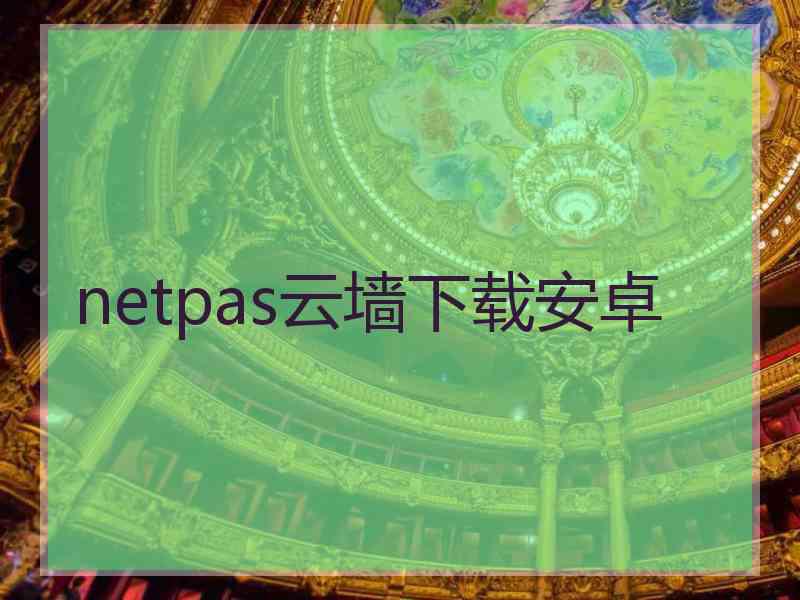 netpas云墙下载安卓