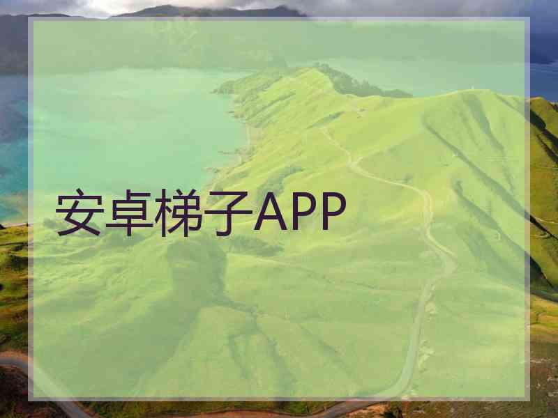 安卓梯子APP