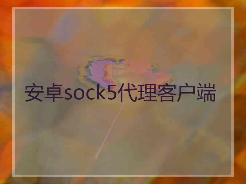 安卓sock5代理客户端