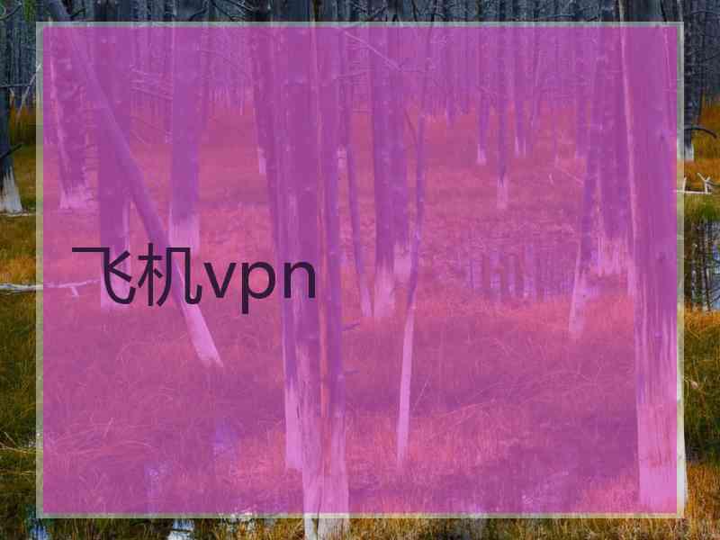 飞机vpn