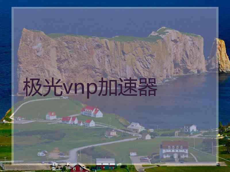 极光vnp加速器