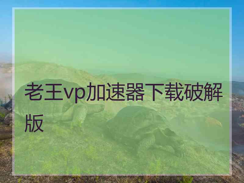 老王vp加速器下载破解版